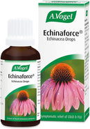 Vogel Echinacea